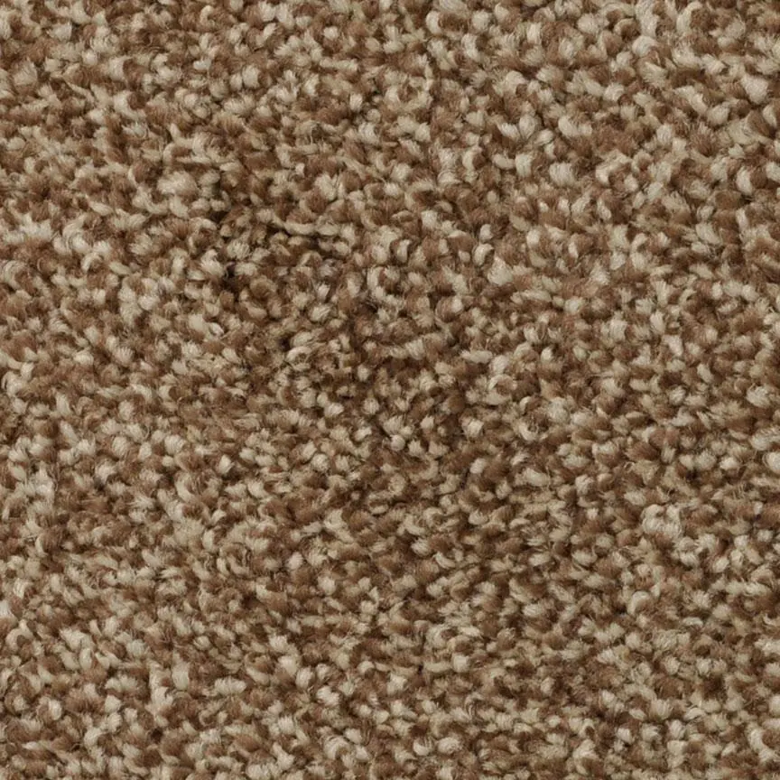 BRE.AMORE Dixie Amore Carpet-9