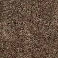 DSW.SWAG.MD Tuftex Swag Carpet