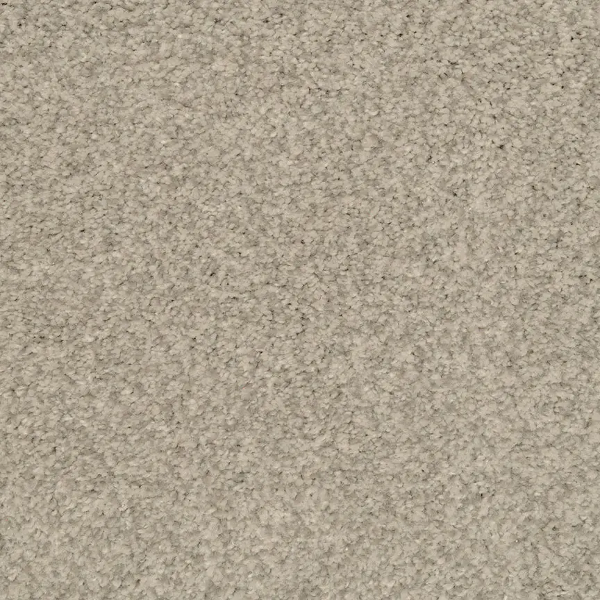 BRE.HIDDEN.TALENT Dixie Hidden Talent Carpet-1