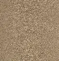 KAR.UPSCALE.LIVING.STOCK Karastan Upscale Living Carpet