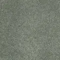 PHL.BARRACAN.CLASSIC.I Shaw Barracan Classic I Carpet