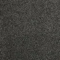 DSW.HOLLISTER.MD Tuftex Hollister Carpet