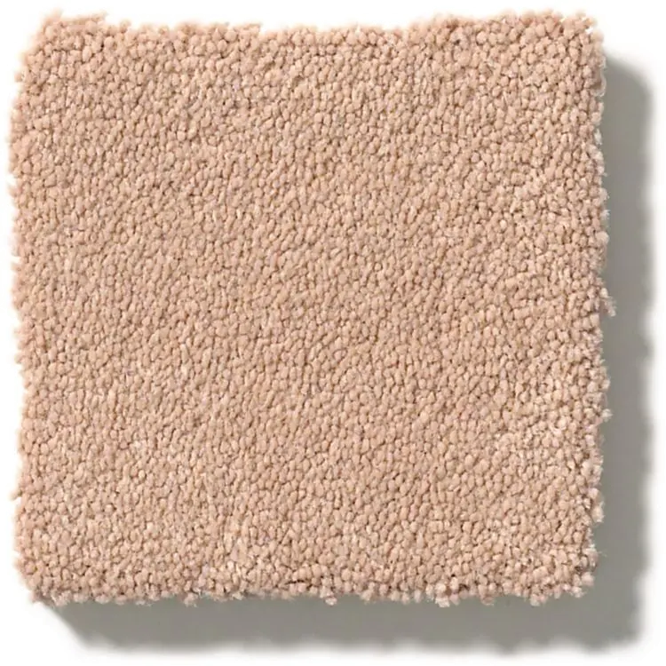 DSW.PERFECT.CHOICE Tuftex Perfect Choice Carpet-2