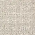 KAR.STRENGTH Karastan Strength Carpet