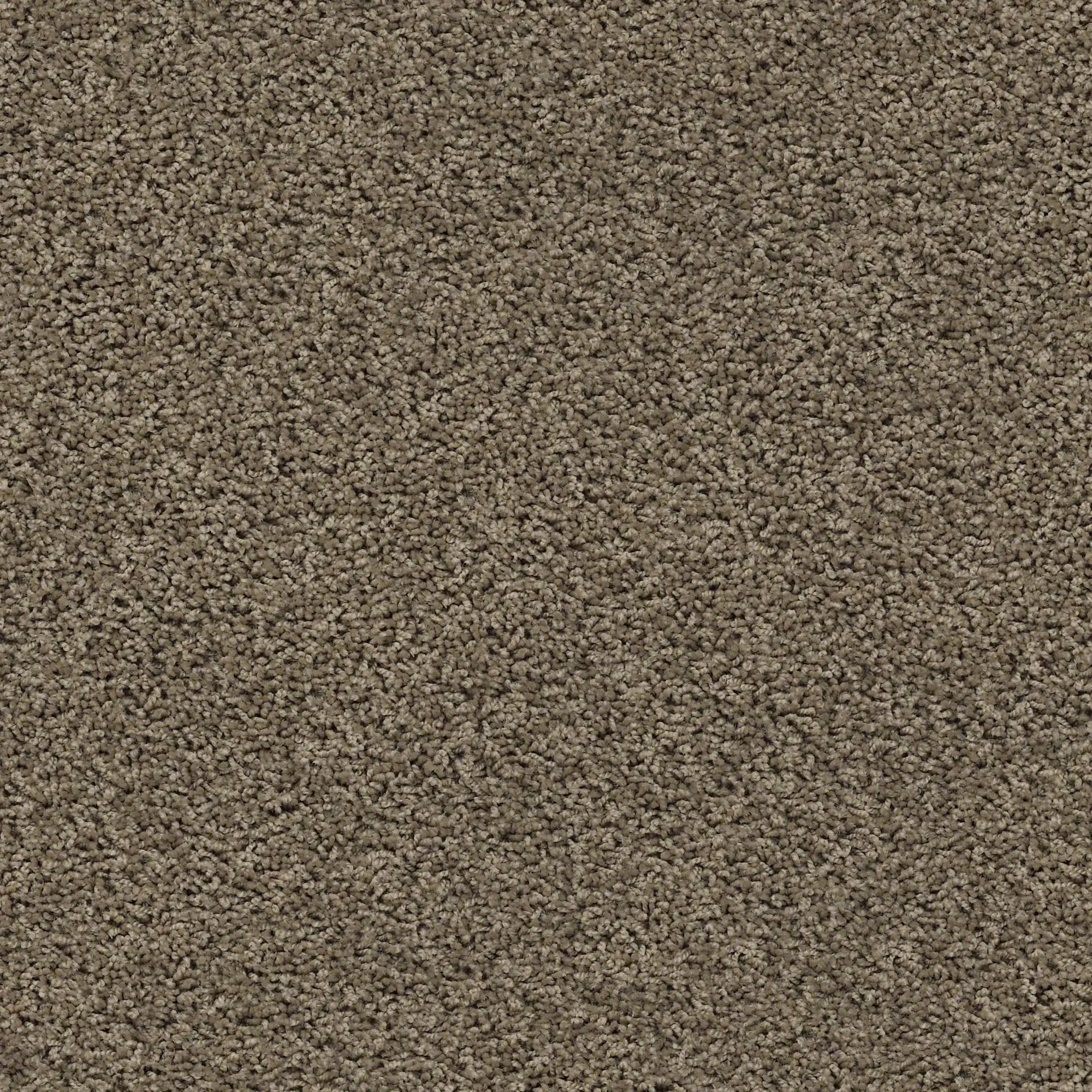 PHL.DEL.MORRO Tuftex Del Morro Carpet-1