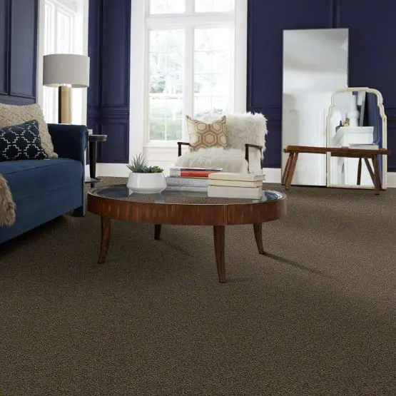 PHL.DEL.MORRO Tuftex Del Morro Carpet-2