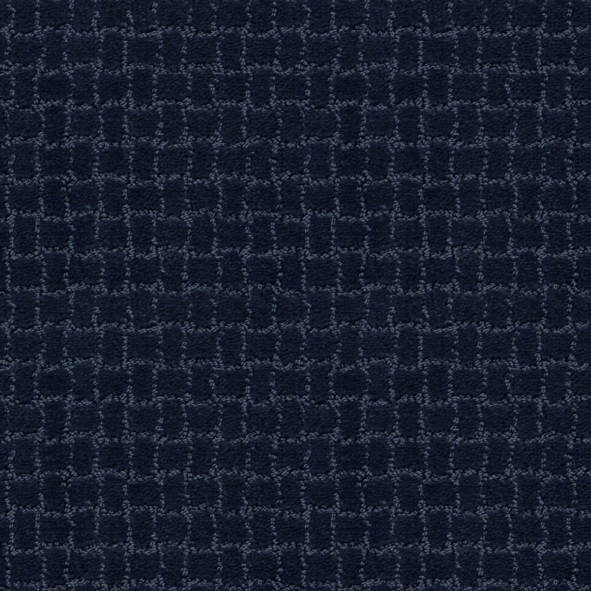 DSW.PAWSTRUCK Tuftex Pawstruck Carpet-1