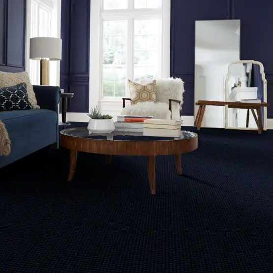 DSW.PAWSTRUCK Tuftex Pawstruck Carpet-2