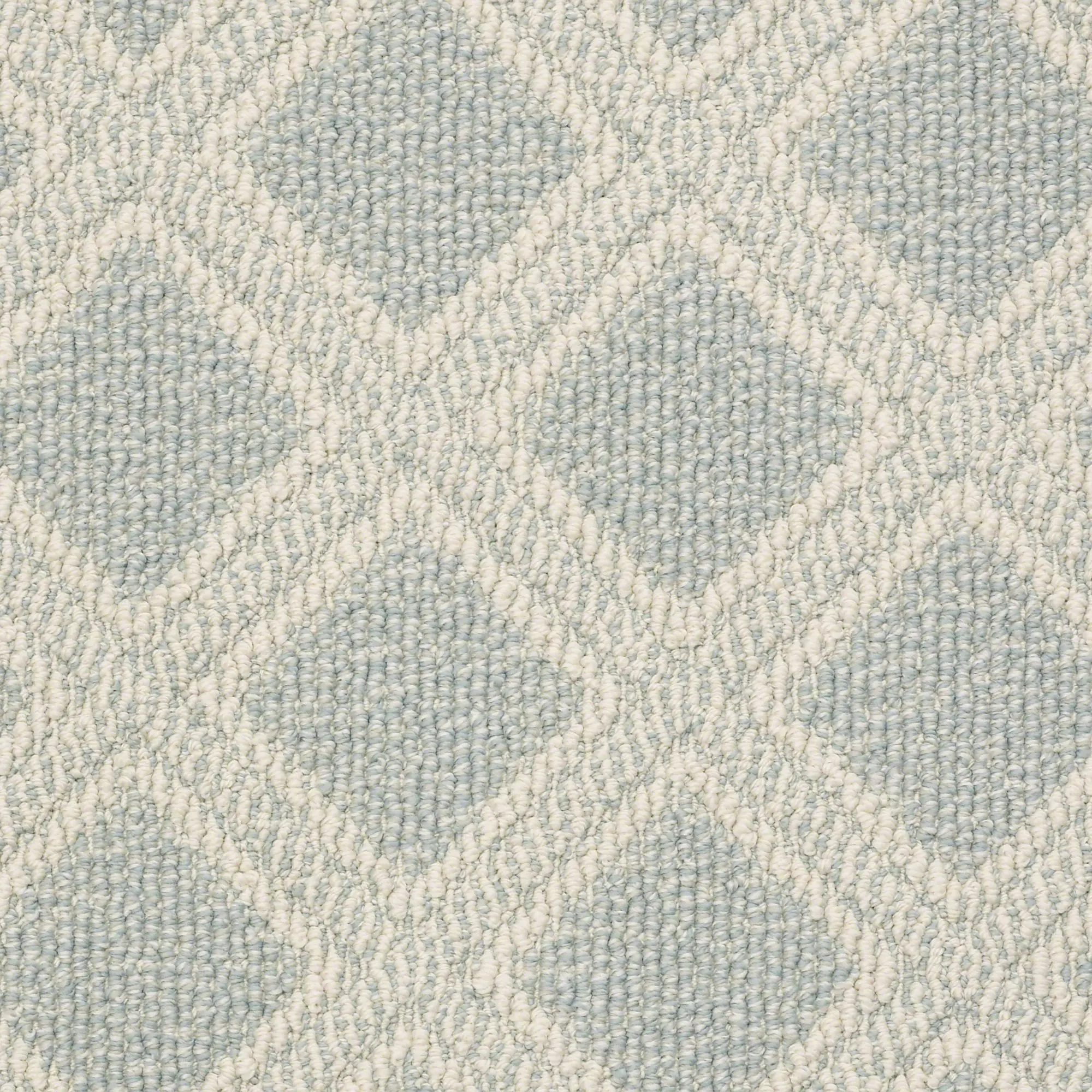 DSW.SCOUT Tuftex Scout Carpet-1