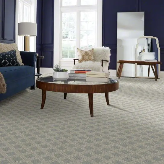 DSW.SCOUT Tuftex Scout Carpet-2