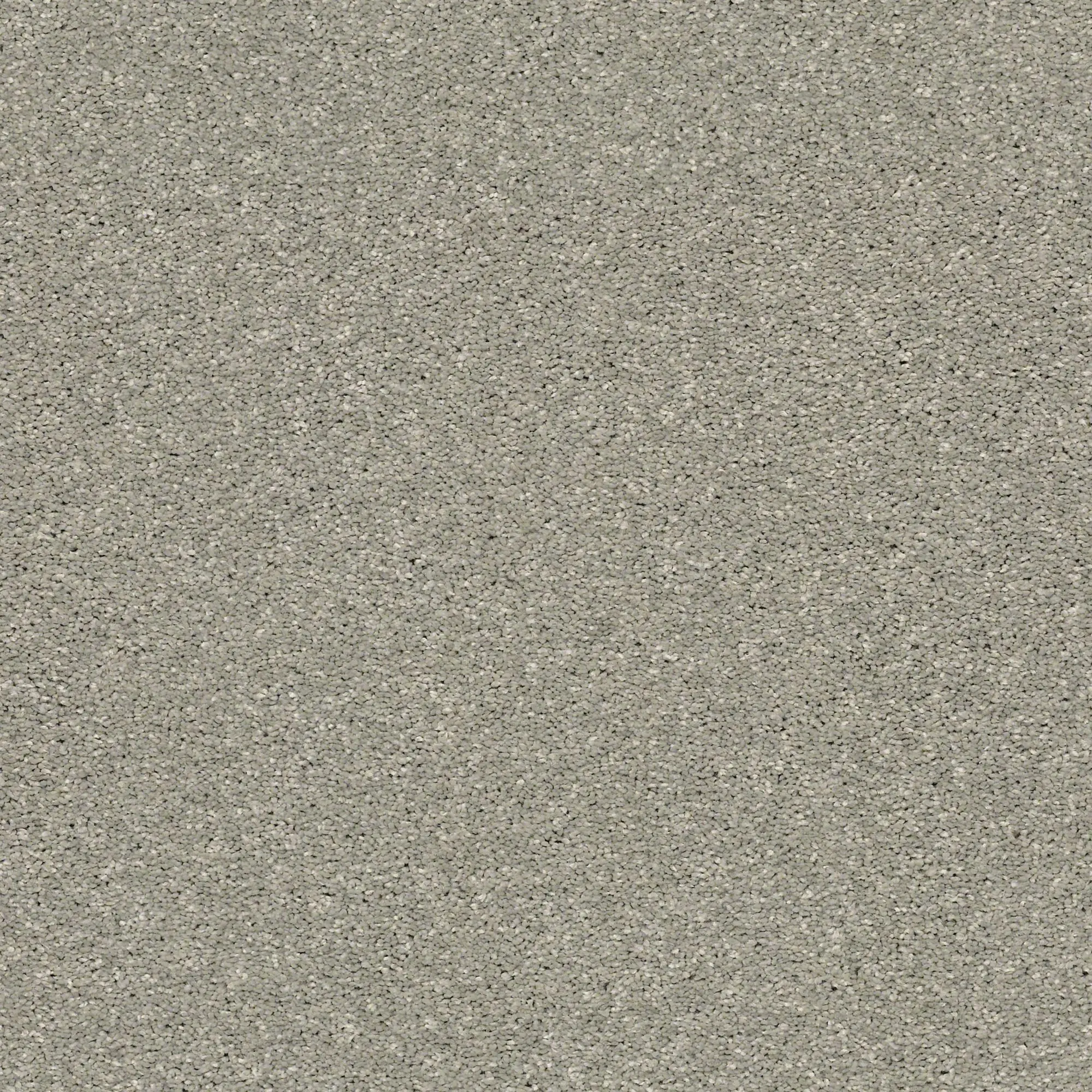 QUE.RULE.BREAKER Shaw Rule Breaker Carpet-1