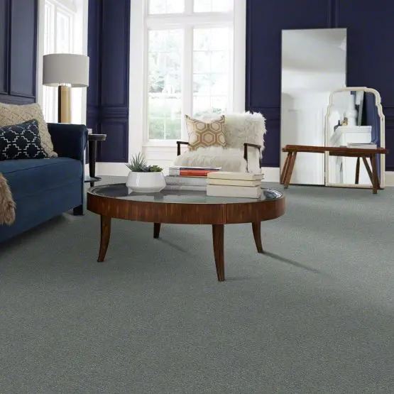 QUE.RULE.BREAKER Shaw Rule Breaker Carpet-2