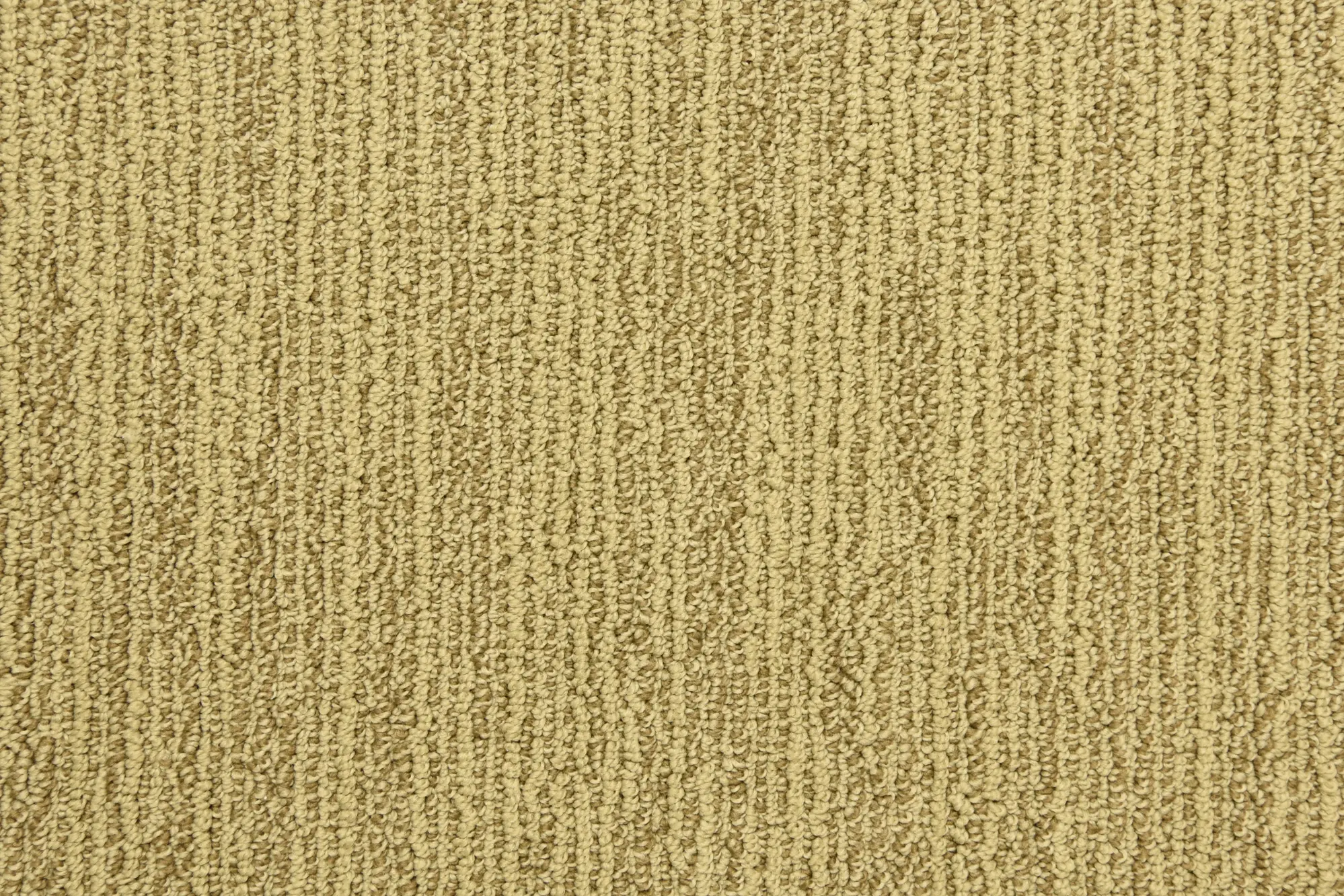 BRE.BRAVERY Dixie Home Bravery Carpet-2