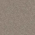 PHL.COLOR.EXPRESS.TONAL.I Shaw Color Express Tonal I Carpet