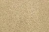 BRE.PURE.GRACE Dixie Home Pure Grace Carpet