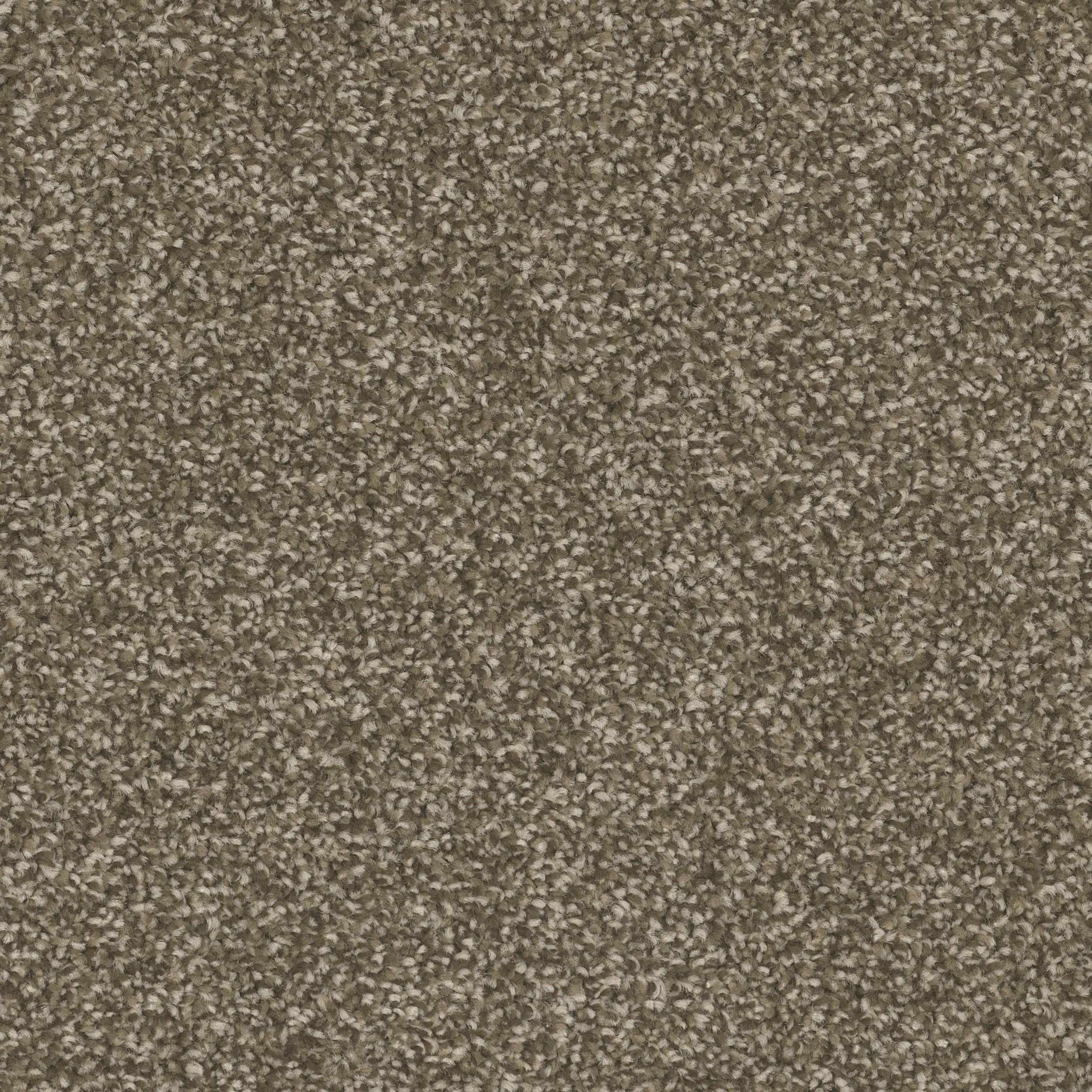 Mohawk West Ridge II Carpet-1