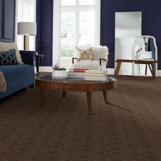 DSW.LOREDO Tuftex Loredo Carpet-2