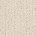 DSW.TRULY.DELIGHTFUL Tuftex Truly Delightful Carpet