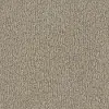 DSW.FUR-EVER Tuftex Fur-Ever Carpet