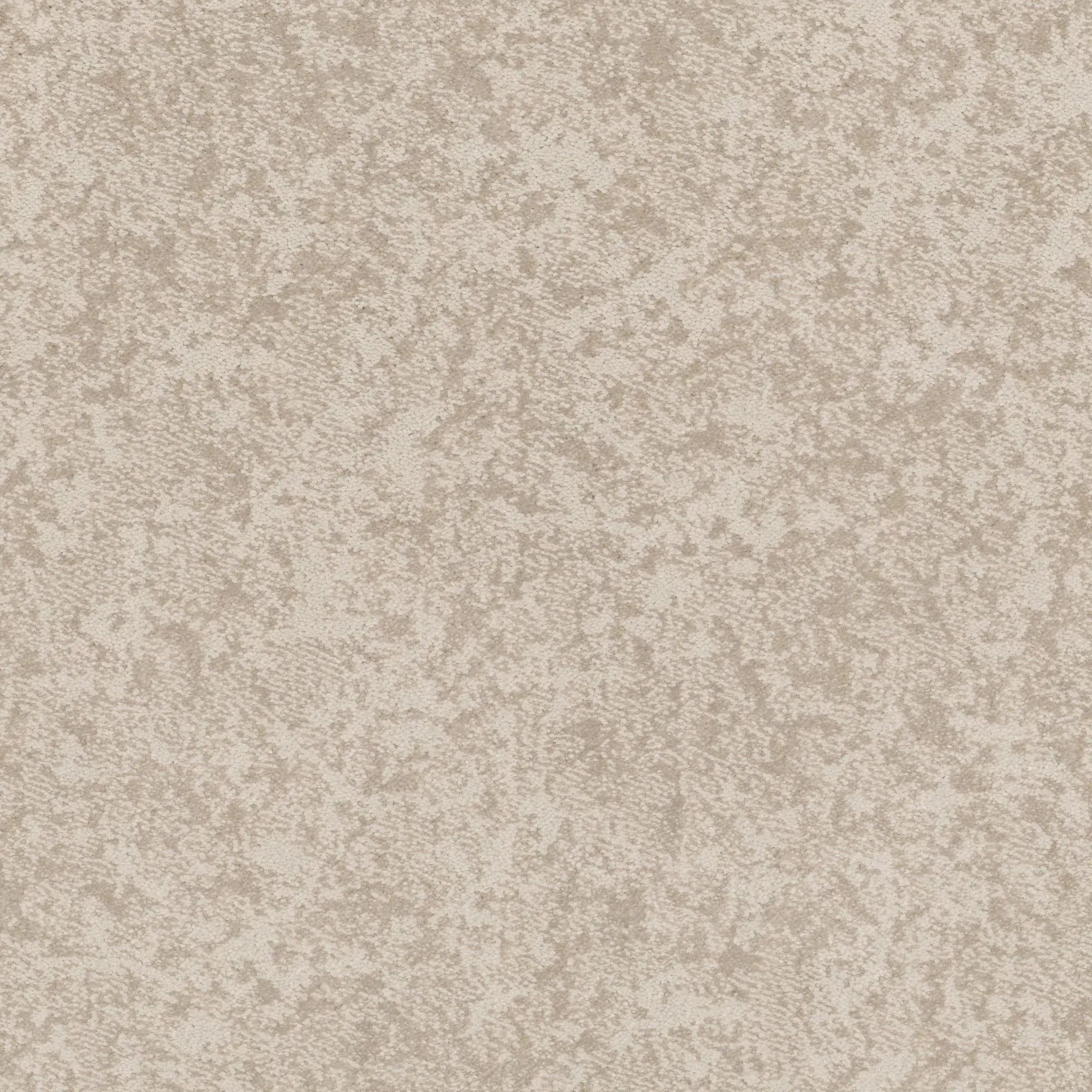 PHL.WELL.MINDED Shaw Well Minded Carpet-1