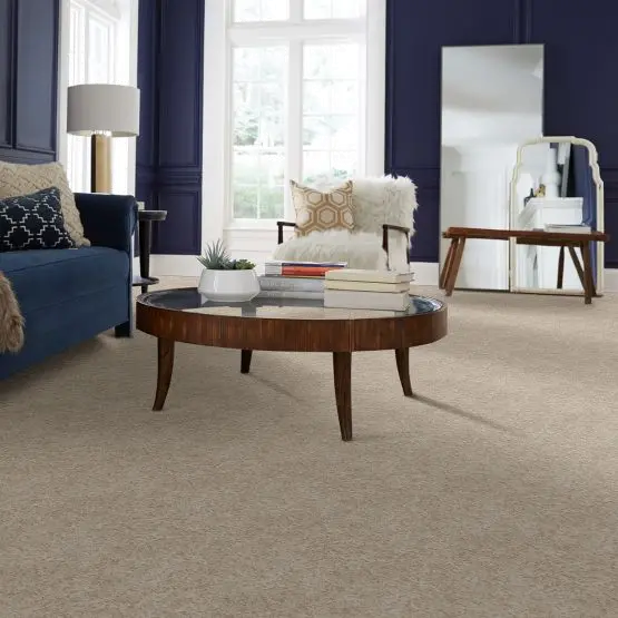 PHL.WELL.MINDED Shaw Well Minded Carpet-2