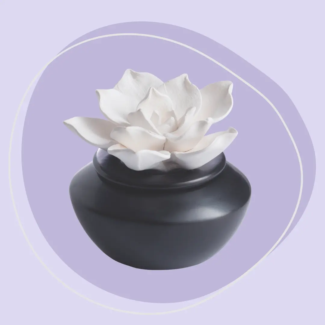 Shiny Black and Botanical Airome Oil Diffuser and Peppermint Oil