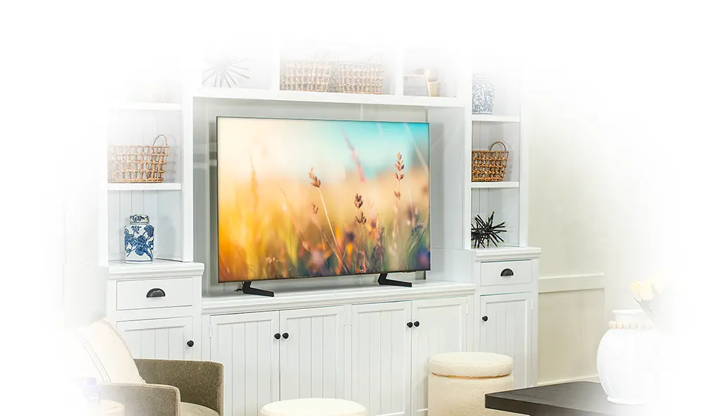 a big-screen TV and entertainment center