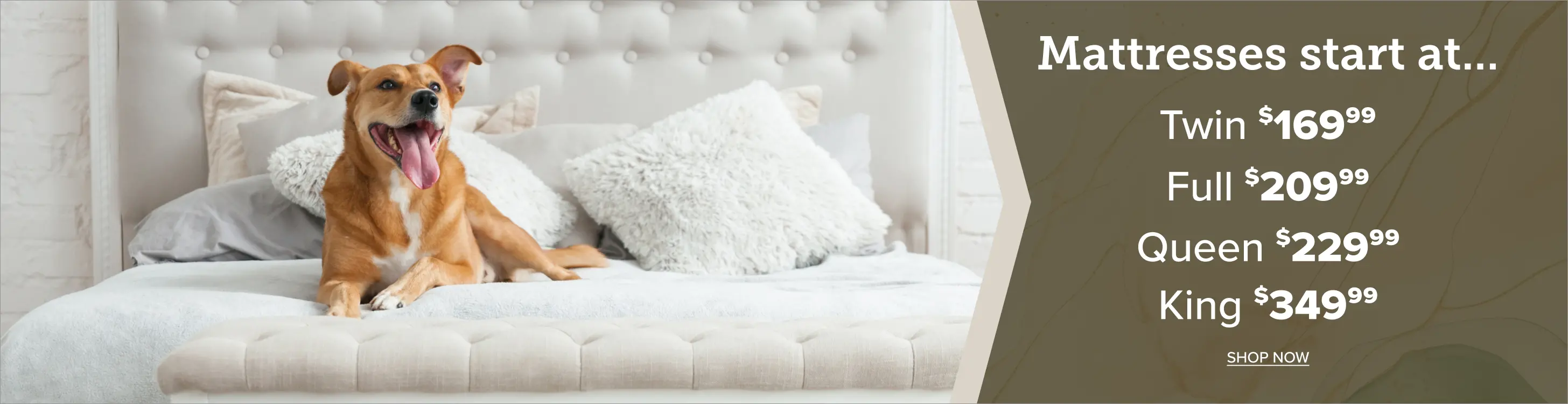 Mattresses Start at $169