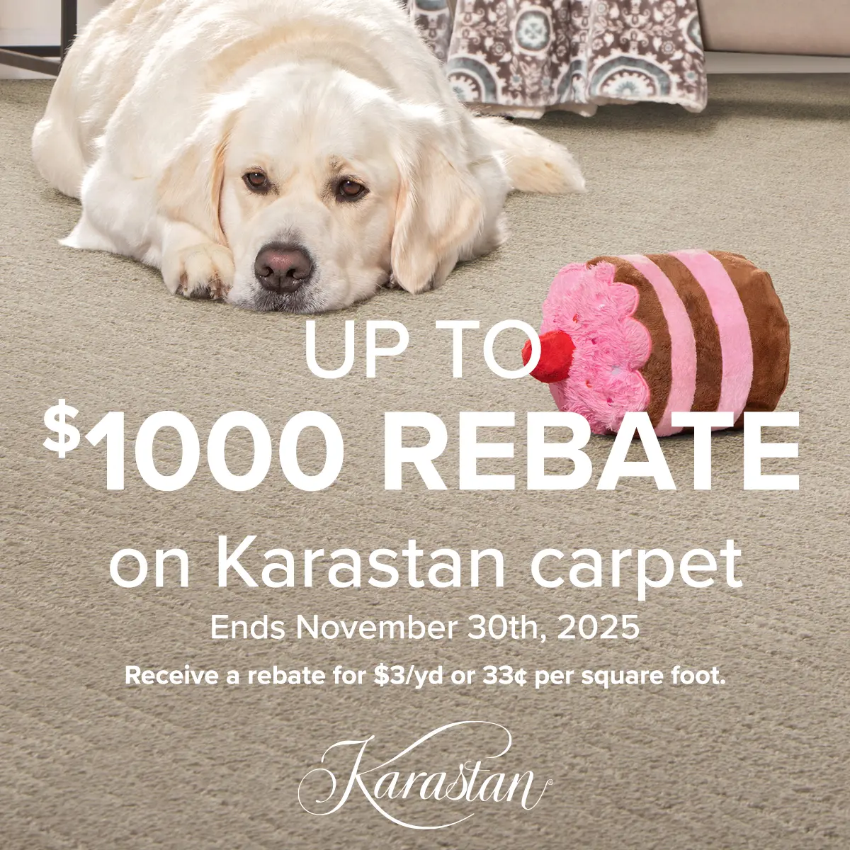 Up to $1000 Rebate on Karastan carpet