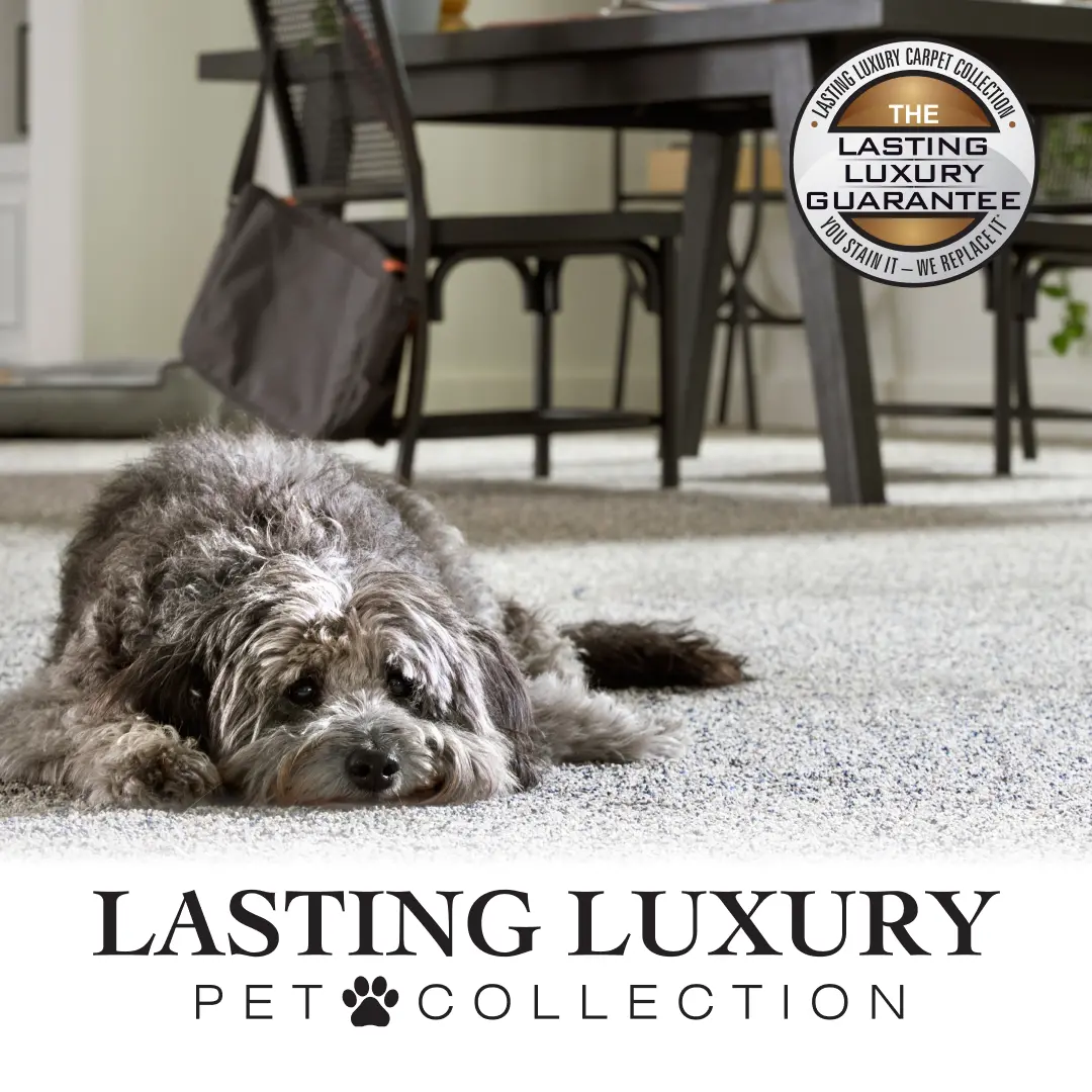 Lasting Luxury Pet Collection