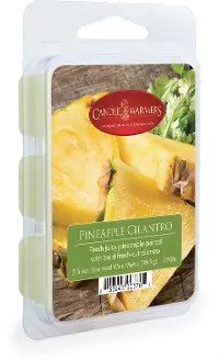 Pineapple Cilantro 2.5oz Wax Melt