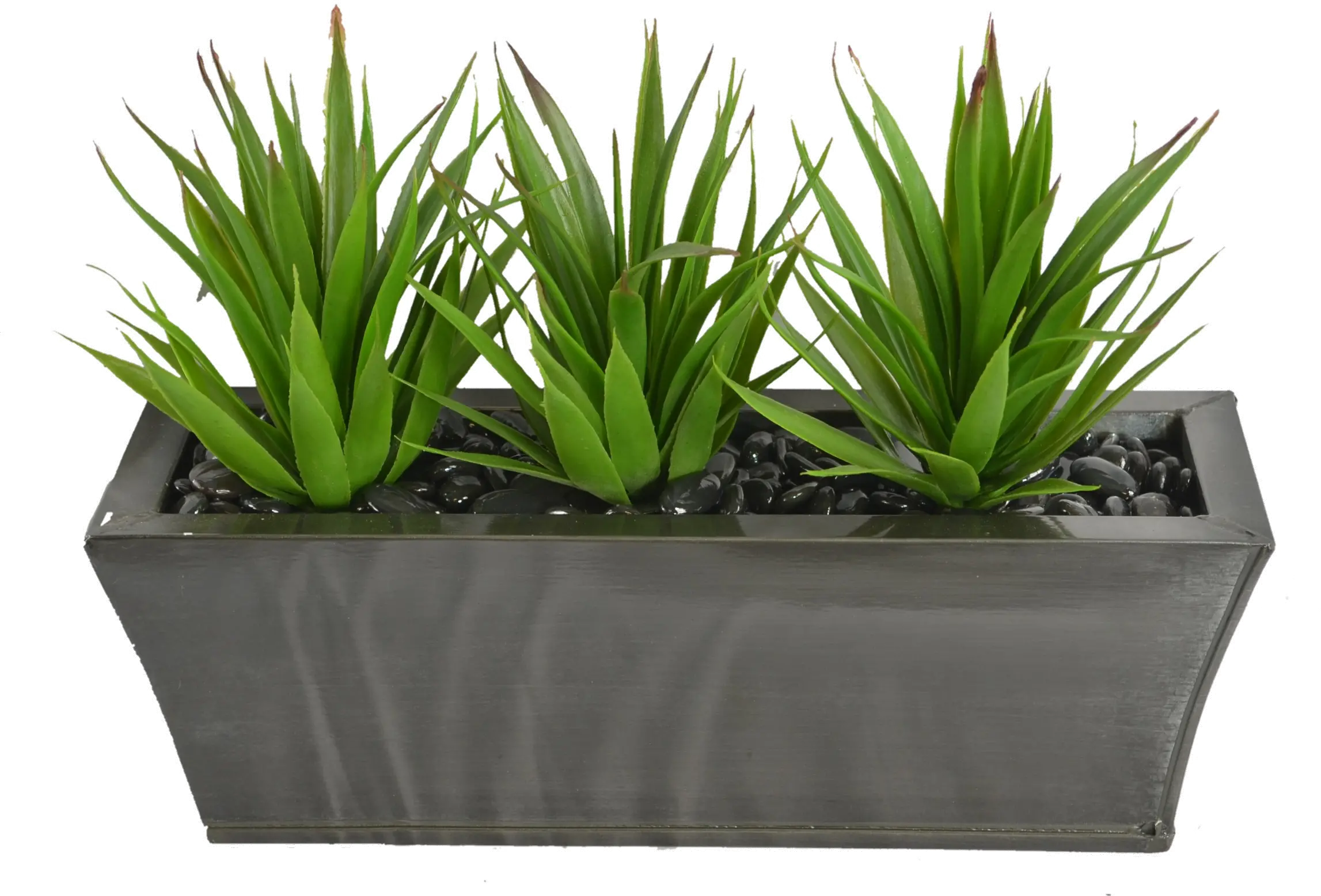 Triple Aloe Plants in a Zinc Ledge Planter Arrangement-1