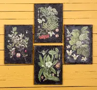 Assorted Botanical Wall Art on a Black Background