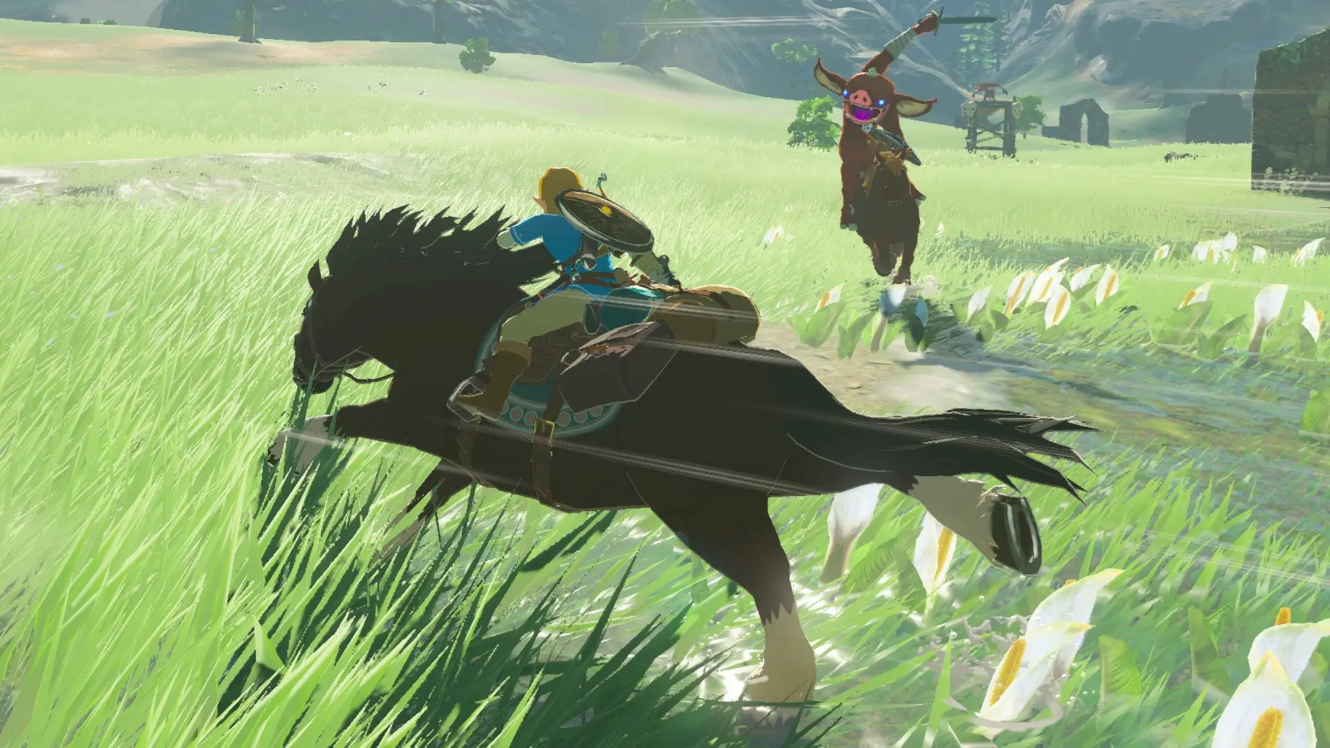 SWI/ZELDA:BREATH The Legend of Zelda: Breath of the Wild - Nintendo Switch-3