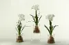 Assorted White Bulb Arrangement In a Glass Jar