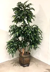 7 Foot Faux Mango Ladder Tree Arrangement