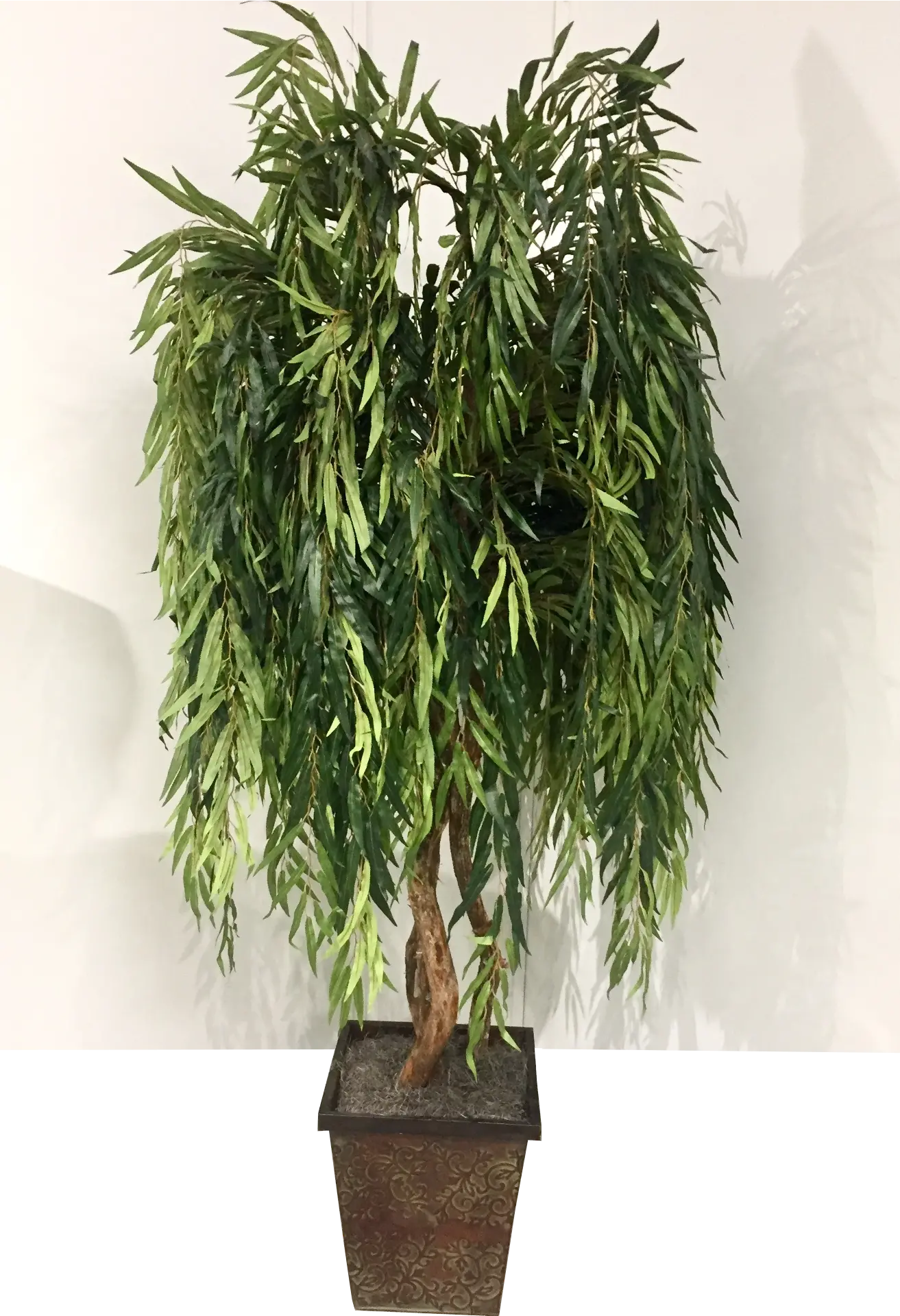 7 Foot Weeping Willow Tree Arrangement-2