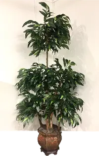 8 Foot Green Mango Ladder Tree Arrangement