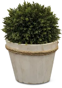 9 Inch Boxwood Ball Faux Arrangement