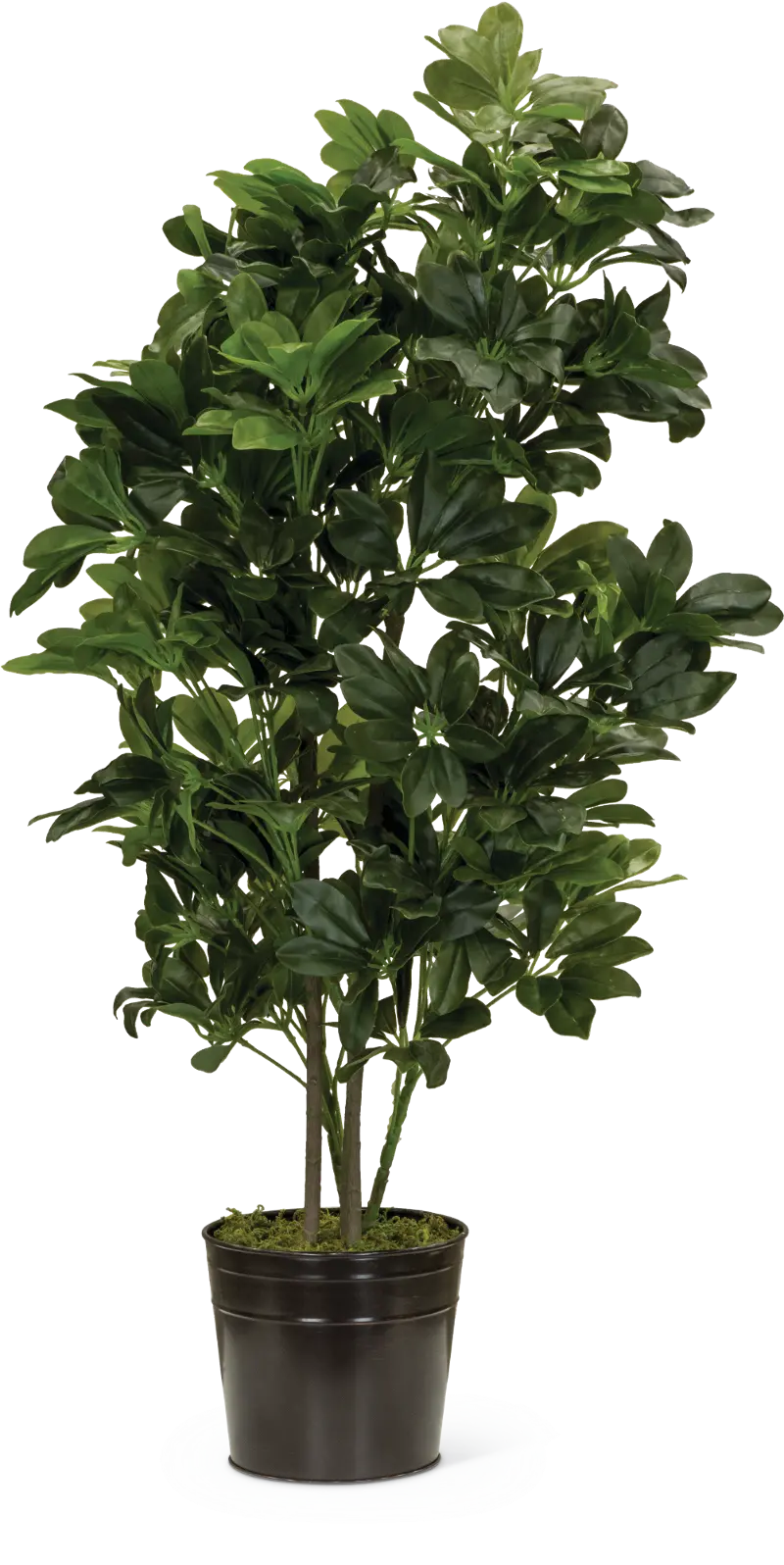 43 Inch Faux Schefflera Tree Arrangement