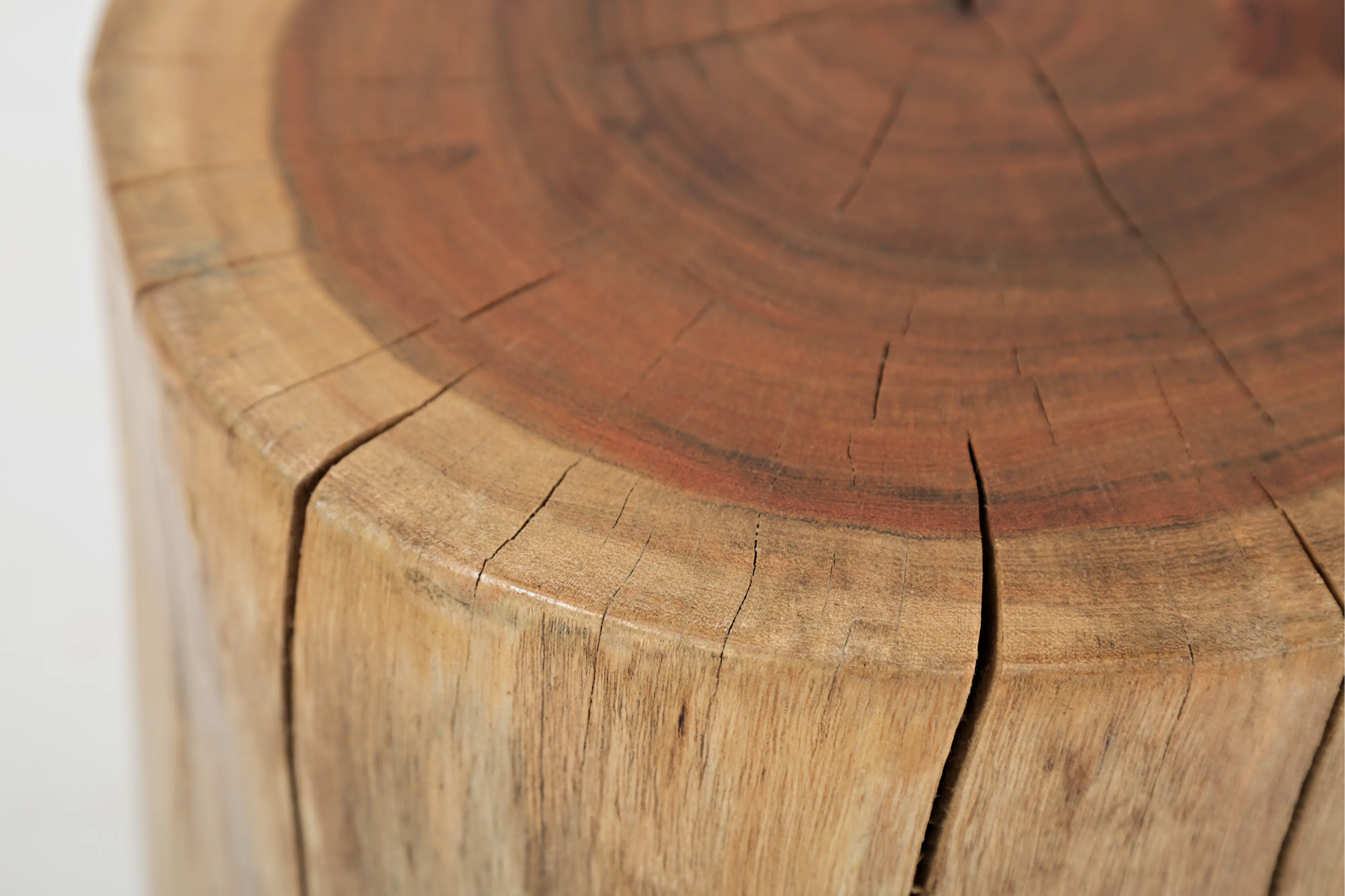 Hardwood Stump Accent Table - Global Archive-4