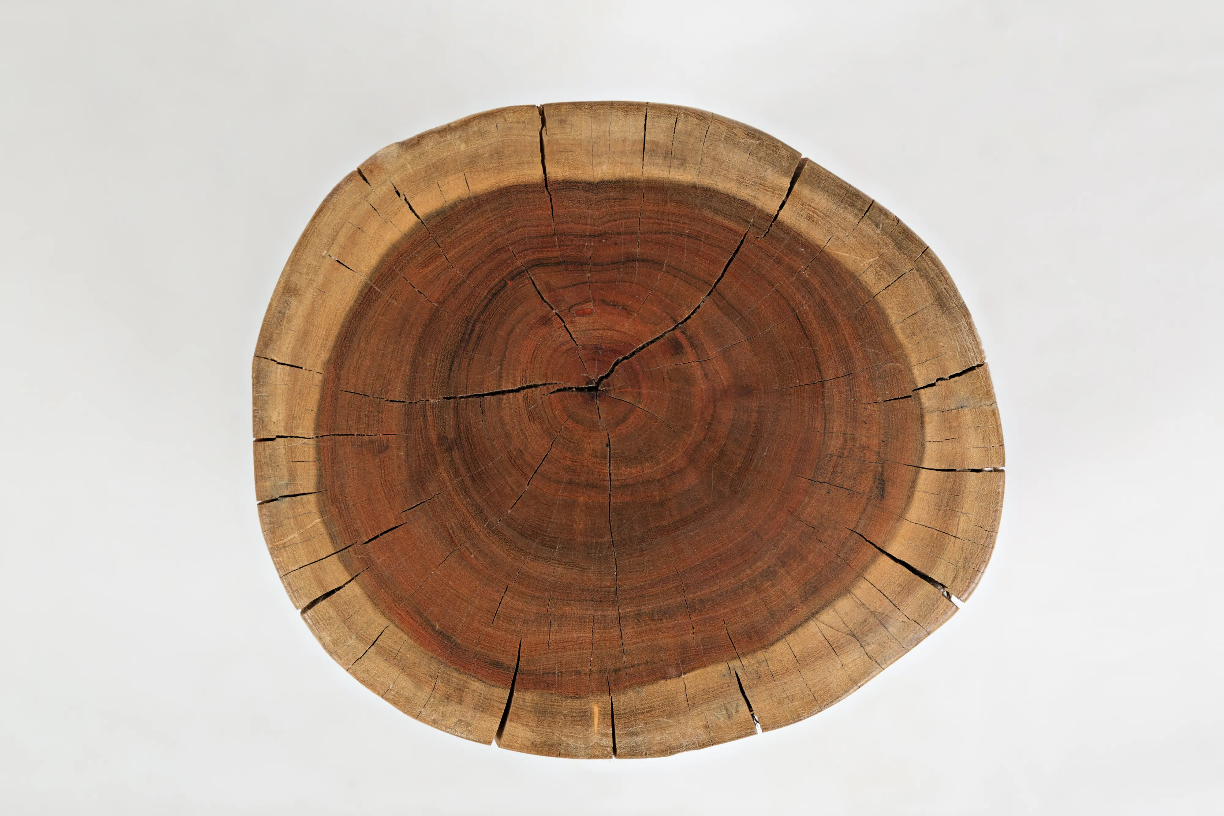 Hardwood Stump Accent Table - Global Archive-1