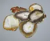 Assorted Gold Edge Agate Slice