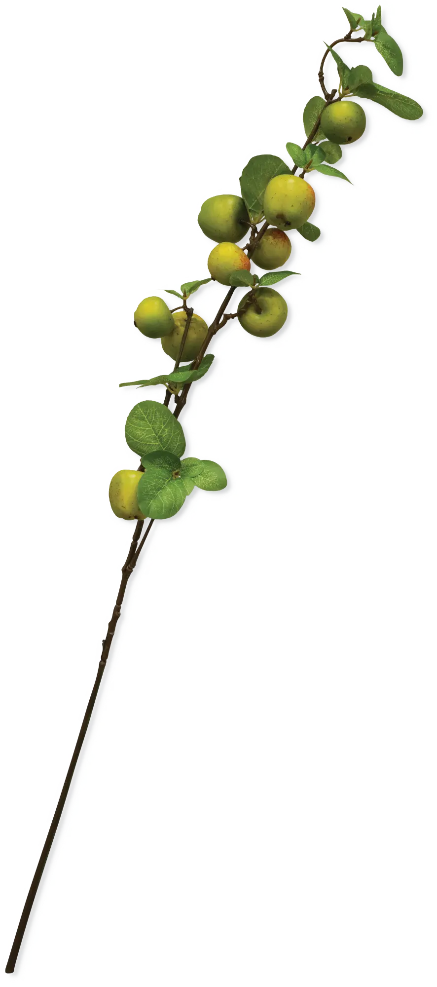 33  Apple Branch Stem For Arrangement-1