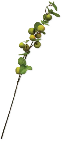 33  Apple Branch Stem For Arrangement