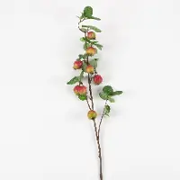 32  Pomegranate Branch Stem For Arrangement