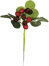11  Strawberry Stem For Arrangement