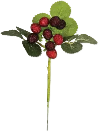 11  Strawberry Stem For Arrangement