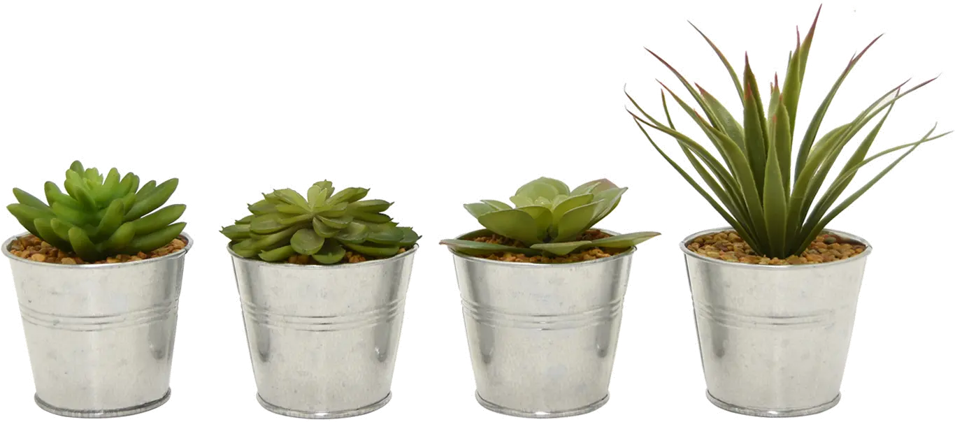 Assorted Green Succulent Arrangement In Iron Pot-1