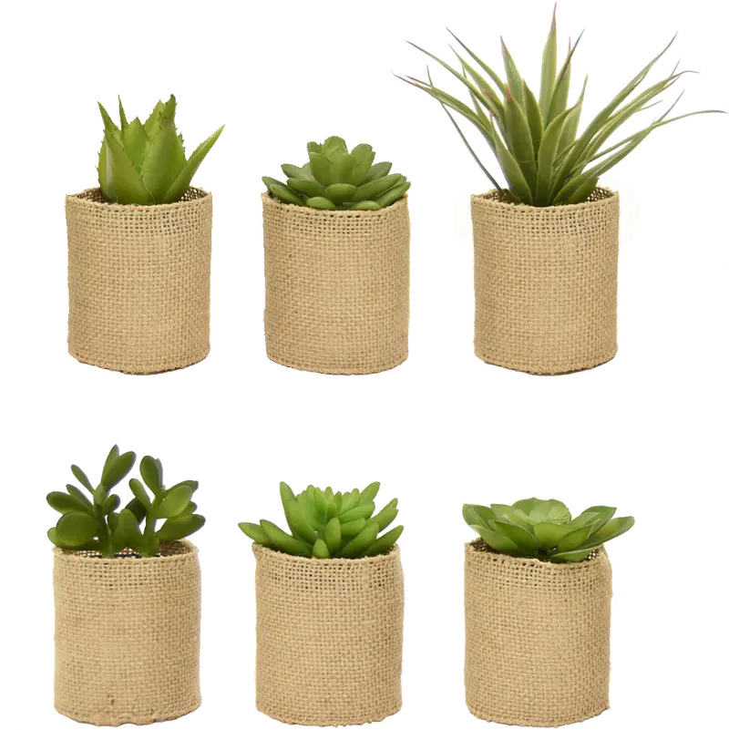 Assorted Succulent Arrangement In Hessian Pot